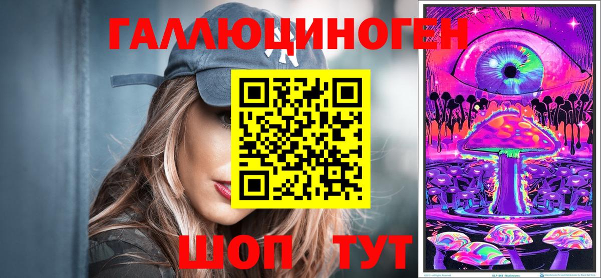 Галлюциногенные грибы Psilocybine cubensis Крымск