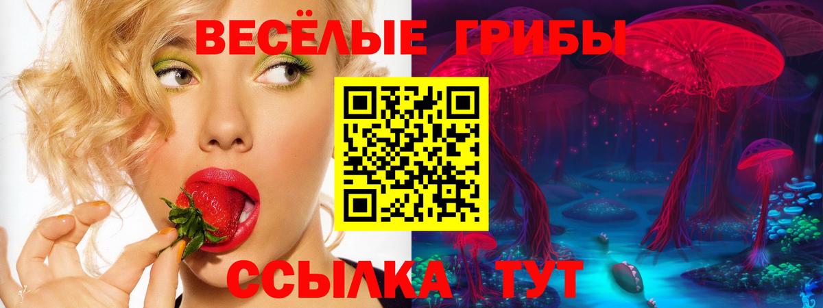 Псилоцибиновые грибы Psilocybe  Псилоцибиновые грибы Psilocybe  Крымск  Вход с VPN 